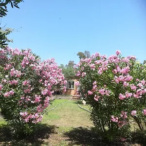  Casa vacanze Olia Italia
